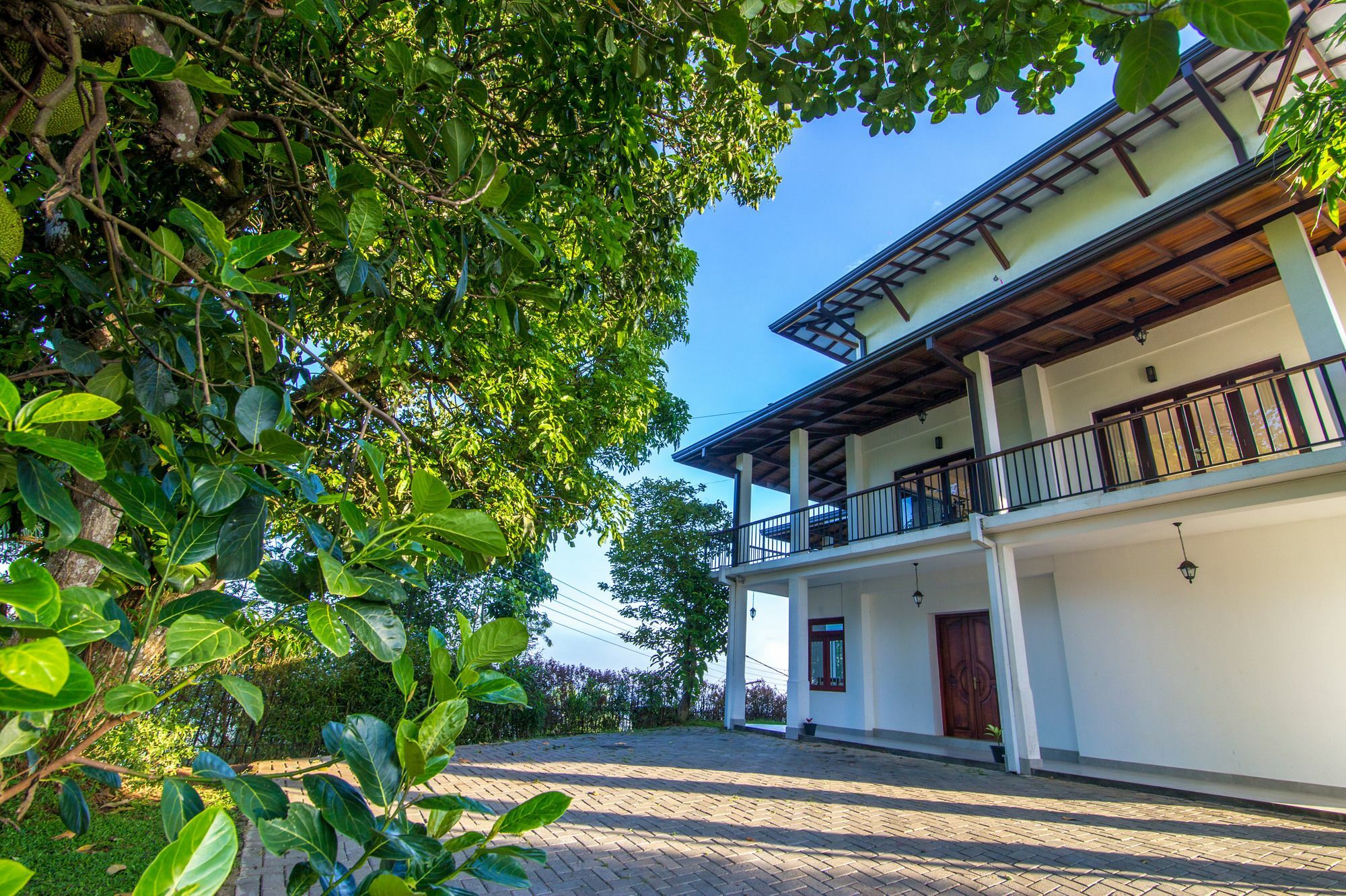 Jack Tree Lodge Kandy Exterior photo