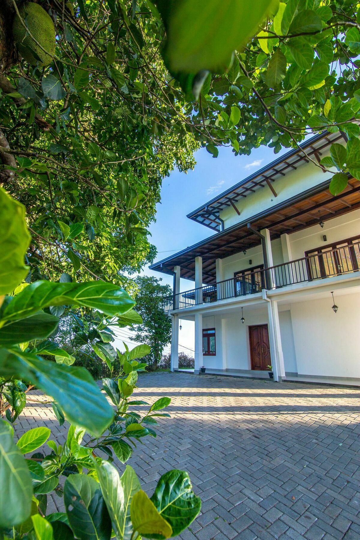 Jack Tree Lodge Kandy Exterior photo